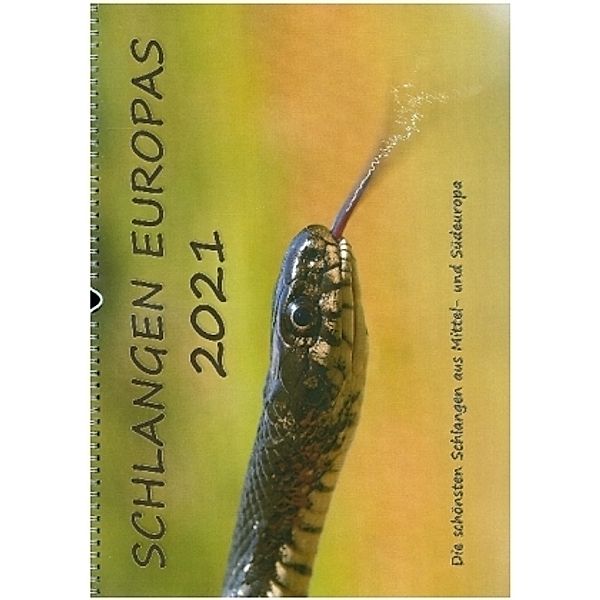 Europäische Schlangen (Wandkalender 2021 DIN A3 quer), Wolfgang Simlinger