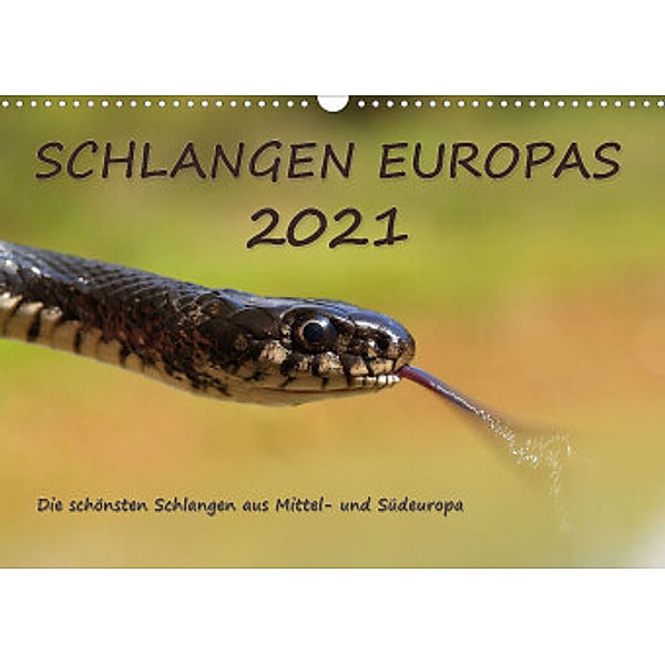 Europäische Schlangen (Wandkalender 2022 DIN A3 quer), Wolfgang Simlinger