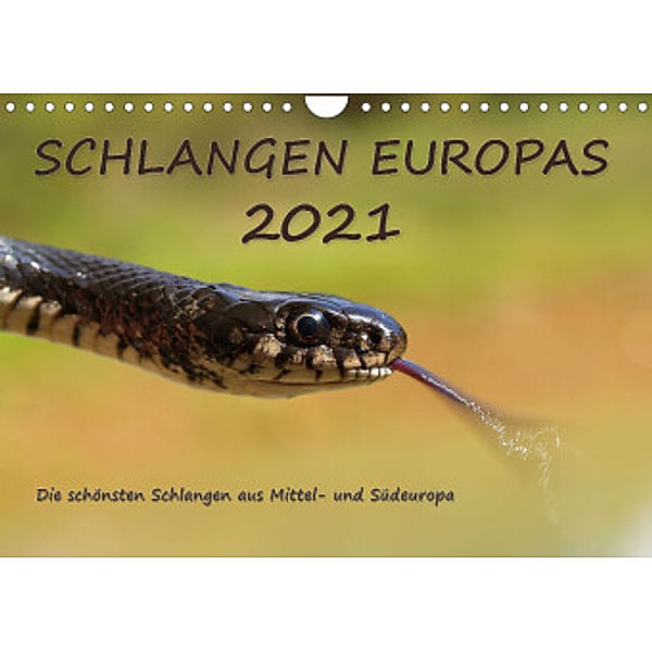 Europäische Schlangen (Wandkalender 2022 DIN A4 quer), Wolfgang Simlinger