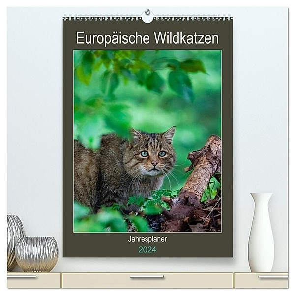 Europäische Wildkatzen - Jahresplaner (hochwertiger Premium Wandkalender 2024 DIN A2 hoch), Kunstdruck in Hochglanz, Janita Webeler