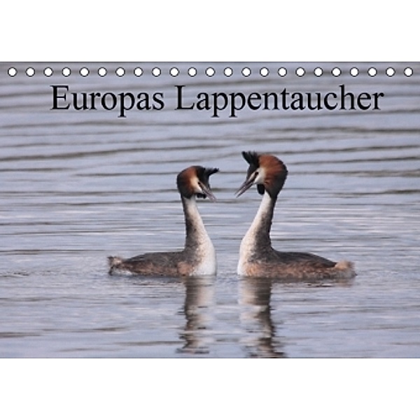 Europas Lappentaucher (Tischkalender 2016 DIN A5 quer), Winfried Erlwein