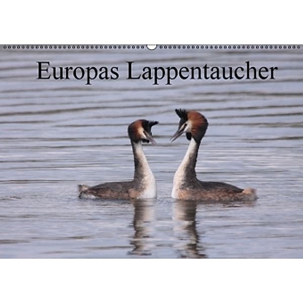 Europas Lappentaucher (Wandkalender 2016 DIN A2 quer), Winfried Erlwein