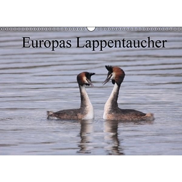 Europas Lappentaucher (Wandkalender 2016 DIN A3 quer), Winfried Erlwein