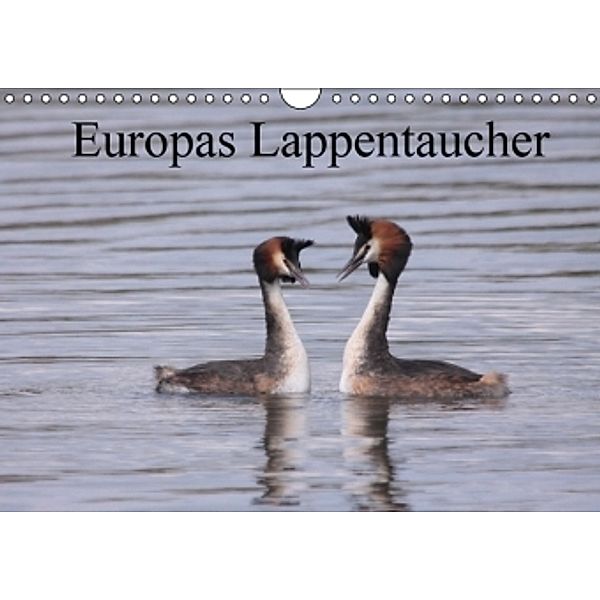 Europas Lappentaucher (Wandkalender 2016 DIN A4 quer), Winfried Erlwein