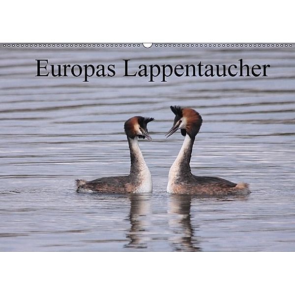 Europas Lappentaucher (Wandkalender 2017 DIN A2 quer), Winfried Erlwein