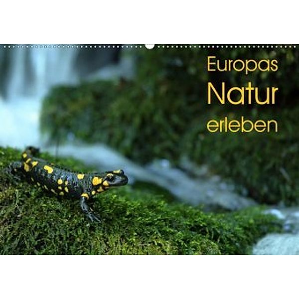 Europas Natur erleben (Wandkalender 2020 DIN A2 quer), Otto Schäfer