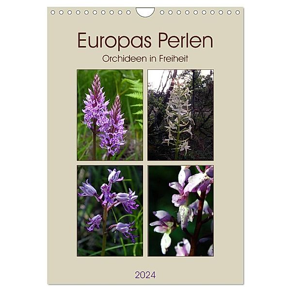 Europas Perlen (Wandkalender 2024 DIN A4 hoch), CALVENDO Monatskalender, Julia Brühl