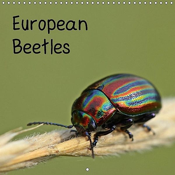 European Beetles (Wall Calendar 2018 300 × 300 mm Square), Christine Schmutzler-Schaub