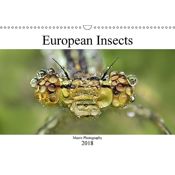 European Insects (Wall Calendar 2018 DIN A3 Landscape), Alexander Mett