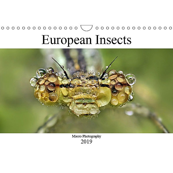 European Insects (Wall Calendar 2019 DIN A4 Landscape), Alexander Mett