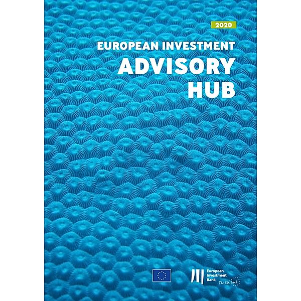 European Investment Advisory Hub Report 2020