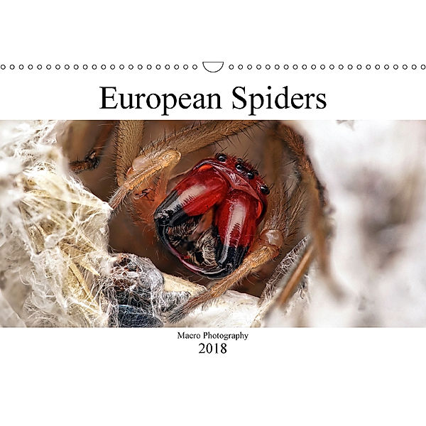 European Spiders (Wall Calendar 2018 DIN A3 Landscape), Alexander Mett