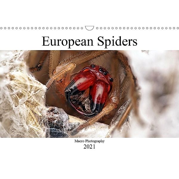 European Spiders (Wall Calendar 2021 DIN A3 Landscape), Alexander Mett Photography