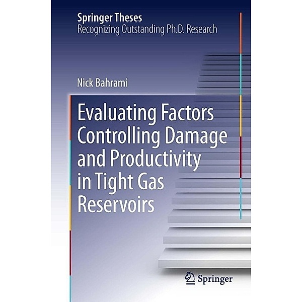 Evaluating Factors Controlling Damage and Productivity in Tight Gas Reservoirs / Springer Theses, Nick Bahrami