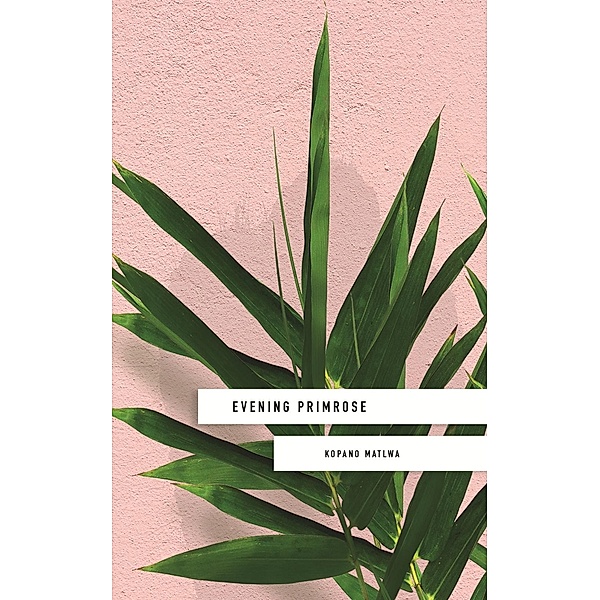 Evening Primrose: a heart-wrenching novel for our times, Kopano Matlwa