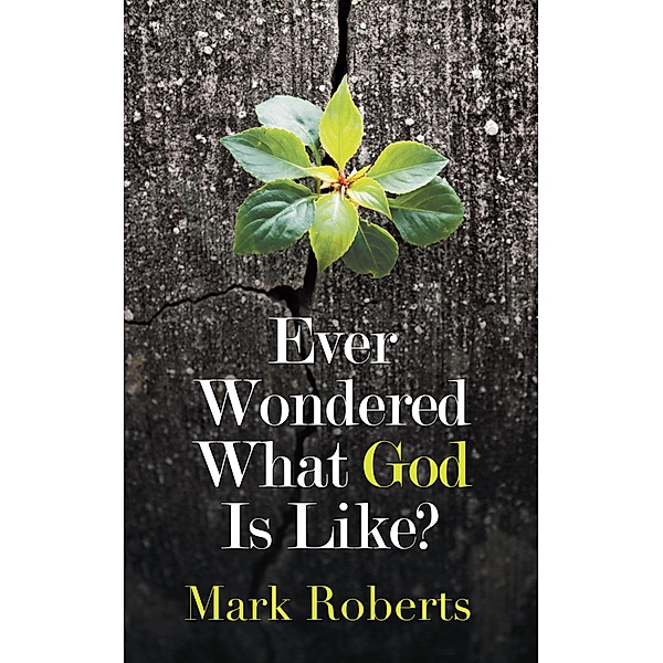 Ever Wondered What God Is Like?, Mark Roberts