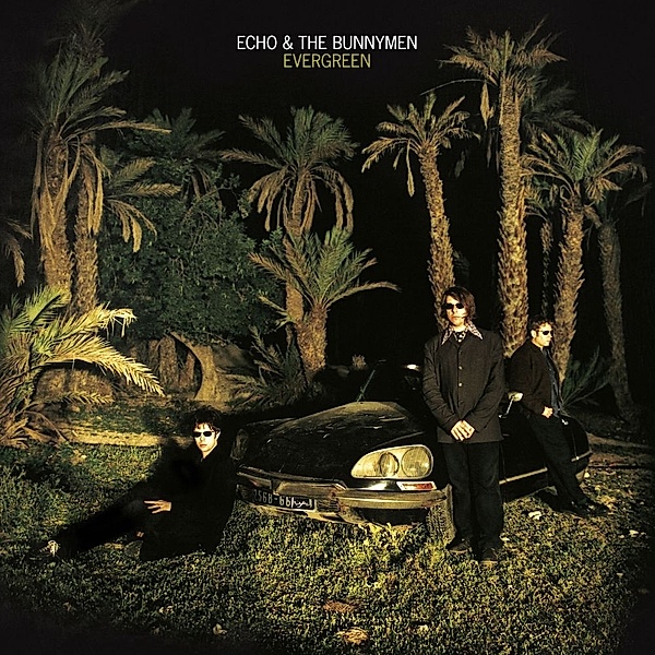 Evergreen (25 Year Anniversary Edition) (Lp White) (Vinyl), Echo & The Bunnymen