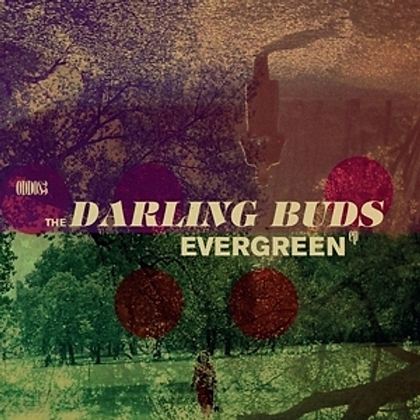 Evergreen Ep, The Darling Buds