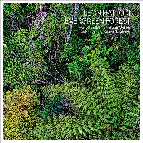 Evergreen Forest, Leon Quintet Hattori