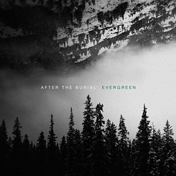 Evergreen (Vinyl), After The Burial