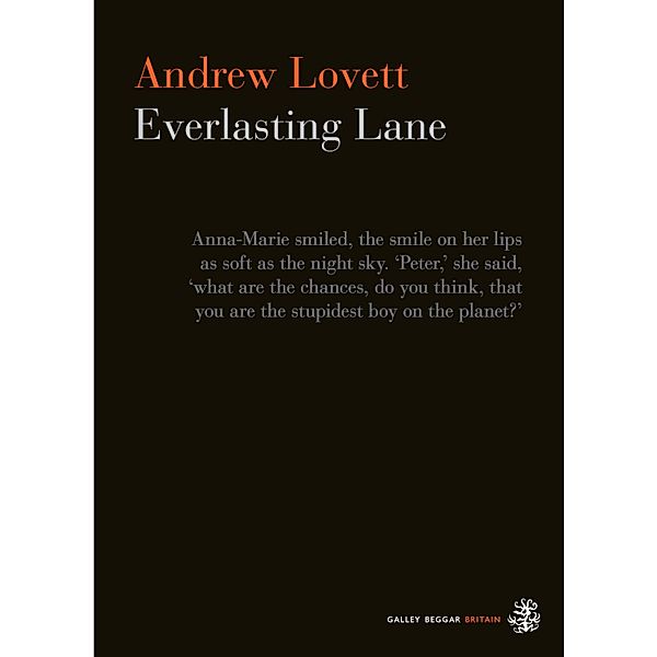 Everlasting Lane, Andrew Lovett