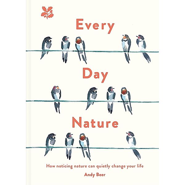 Every Day Nature, Andy Beer, National Trust Books