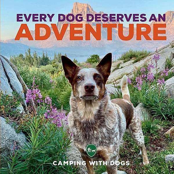 Every Dog Deserves an Adventure, Camping with Dogs, L. J. Tracosas