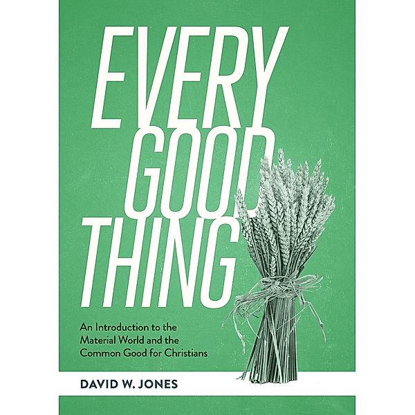 Every Good Thing, David W. Jones