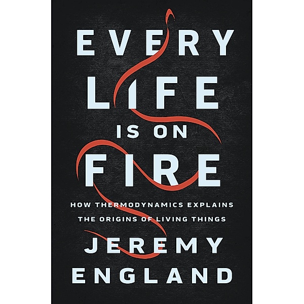 Every Life Is on Fire, Jeremy England