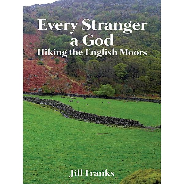 Every Stranger a God, Jill Franks