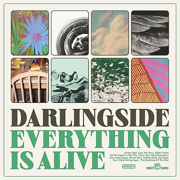 Everything Is Alive, Darlingside