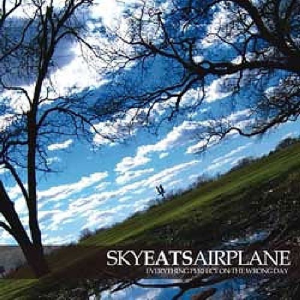 Everything Perfect On T.., Sky Eats Airplane