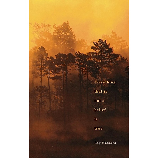 Everything That is Not a Belief is True / Matador, Ray Menezes