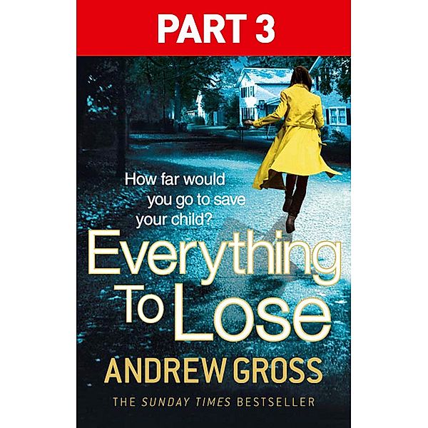 Everything to Lose: Part Three, Chapters 39-69, Andrew Gross