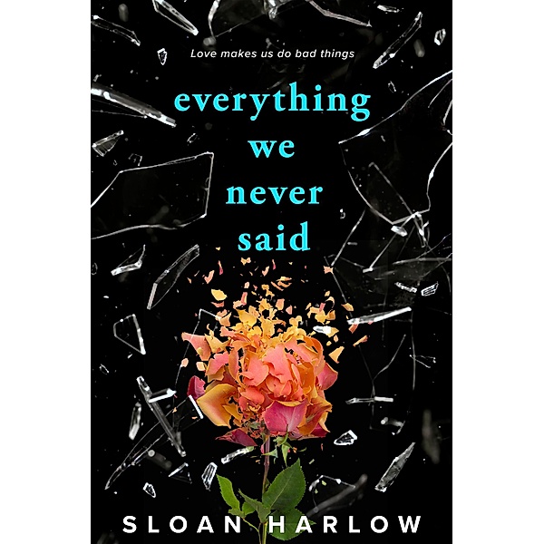 Everything We Never Said, Sloan Harlow