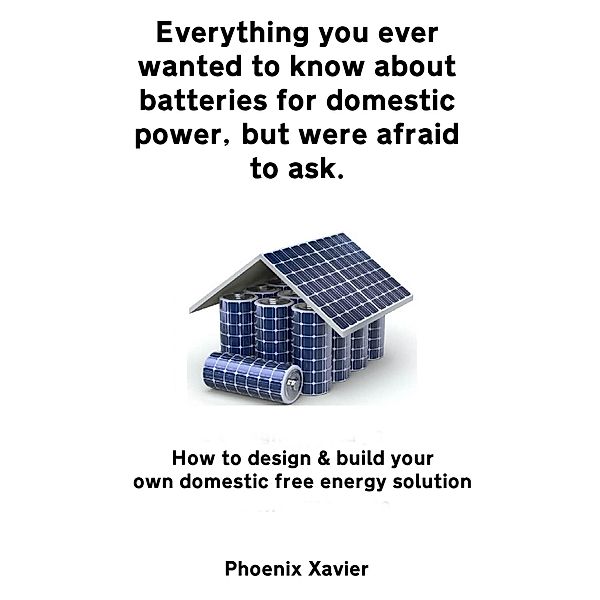 Everything you Ever Wanted to Know About Batteries for Domestic Power, but Were Afraid to ask, Phoenix Xavier
