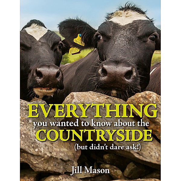 Everything you Wanted to Know about the Countryside, Jill Mason