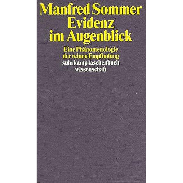 Evidenz im Augenblick, Manfred Sommer