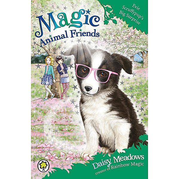 Evie Scruffypup's Big Surprise / Magic Animal Friends Bd.10, Daisy Meadows