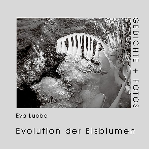 Evolution der Eisblumen, Eva Lübbe