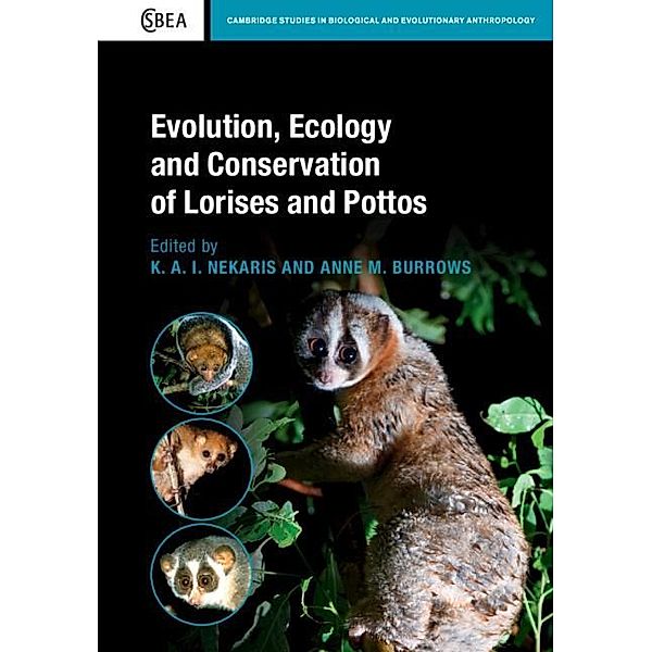 Evolution, Ecology and Conservation of Lorises and Pottos / Cambridge Studies in Biological and Evolutionary Anthropology