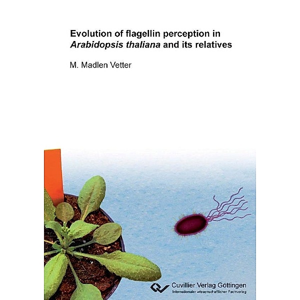 Evolution of flagellin perception in Arabidopsis thaliana and its relatives