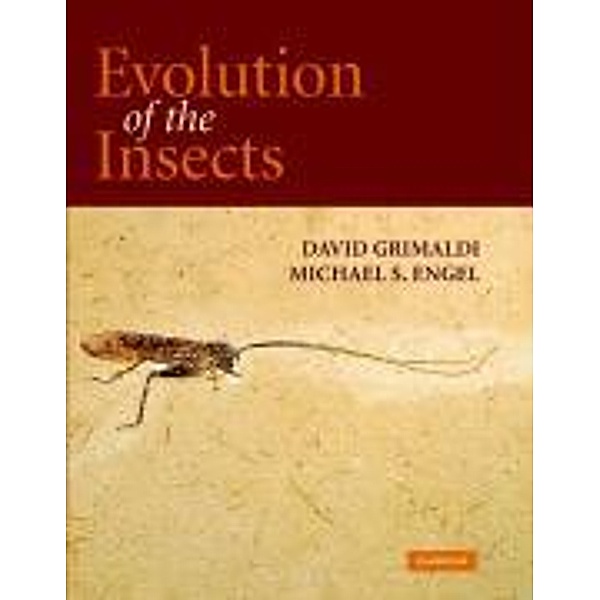 Evolution of the Insects, David Grimaldi, Michael Engel