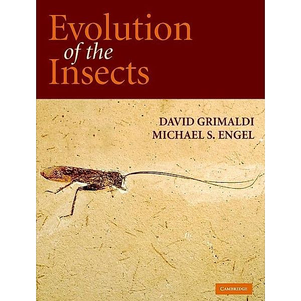 Evolution of the Insects / Cambridge Evolution Series, David Grimaldi