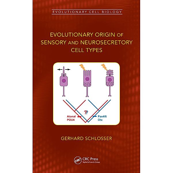 Evolutionary Origin of Sensory and Neurosecretory Cell Types, Gerhard Schlosser