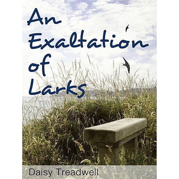 Exaltation of Larks / Bigwig Books, Daisy Treadwell