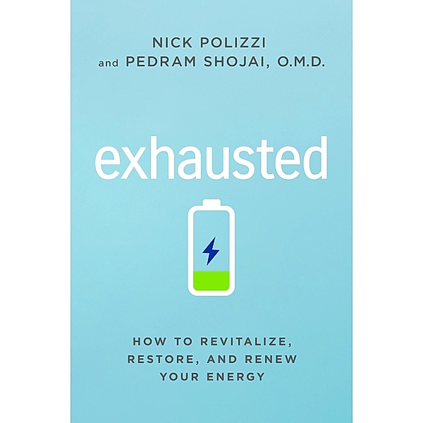 Exhausted, Nick Polizzi, Pedram Shojai