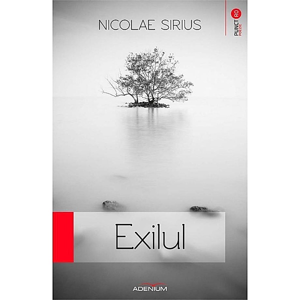 Exilul / Punct RO. Poezie, Nicolae Sirius