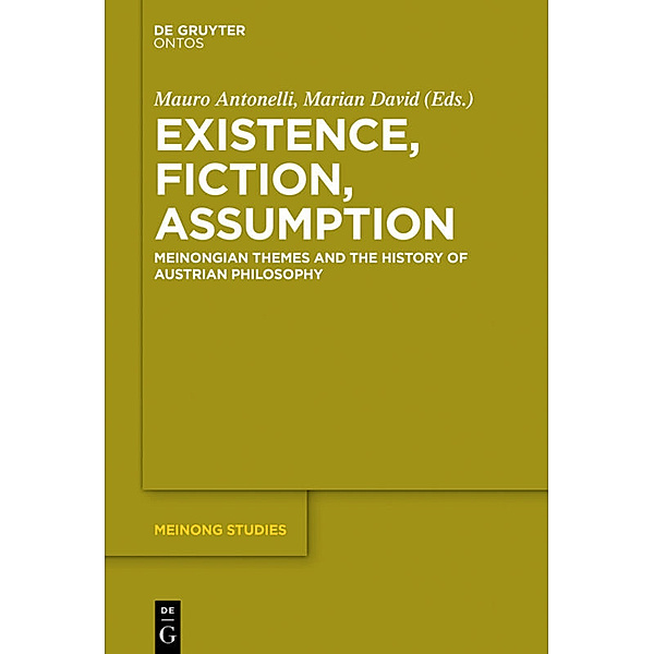 Existence, Fiction, Assumption