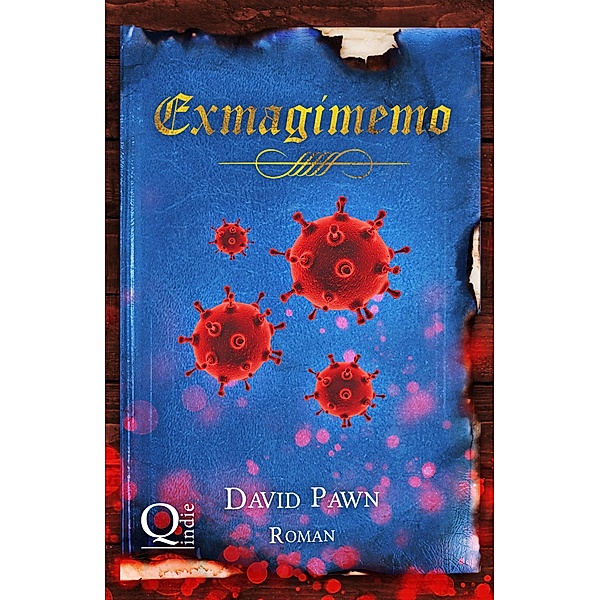 Exmagimemo / Zaubertränke Bd.10, David Pawn